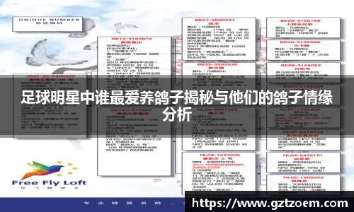 足球明星中谁最爱养鸽子揭秘与他们的鸽子情缘分析